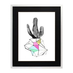 Cactus 8