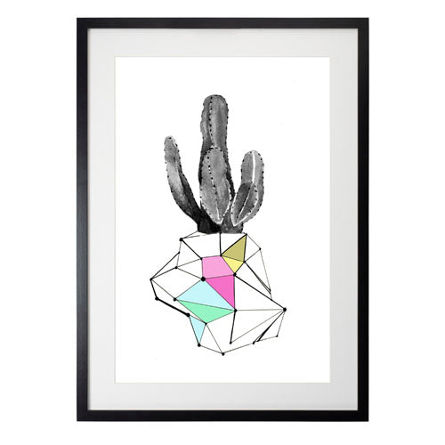 Cactus 8