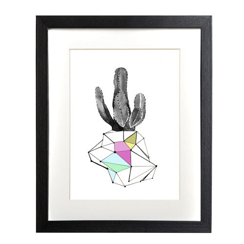 Cactus 8