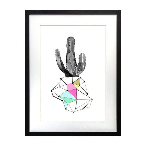 Cactus 8