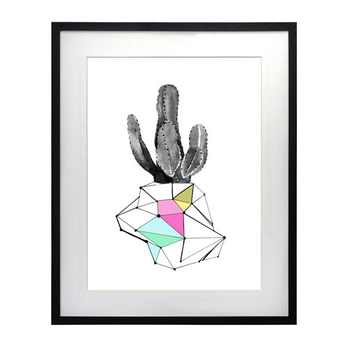 Cactus 8