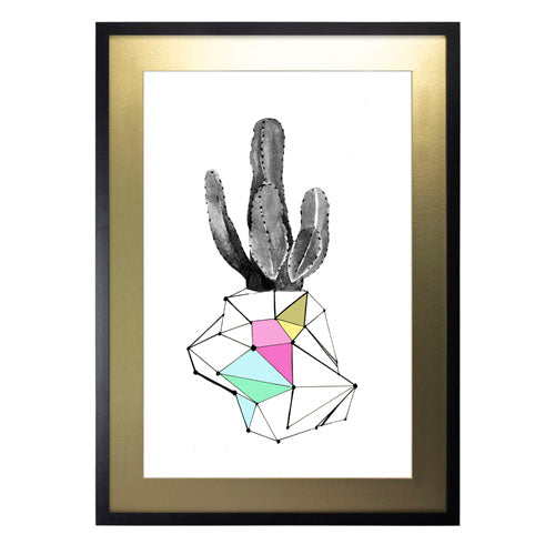 Cactus 8