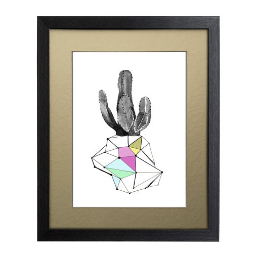 Cactus 8