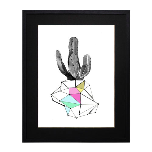 Cactus 8