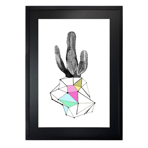 Cactus 8