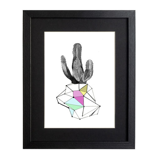 Cactus 8