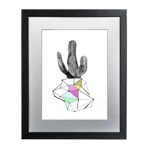 Cactus 8