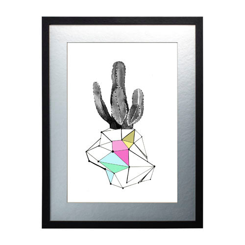 Cactus 8