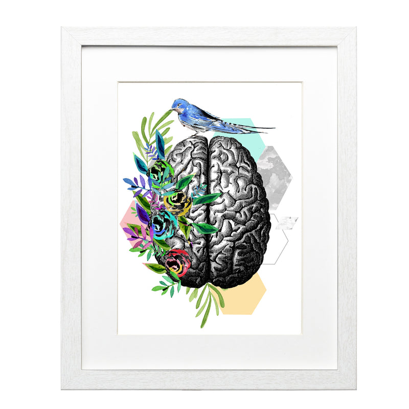 Cerebro