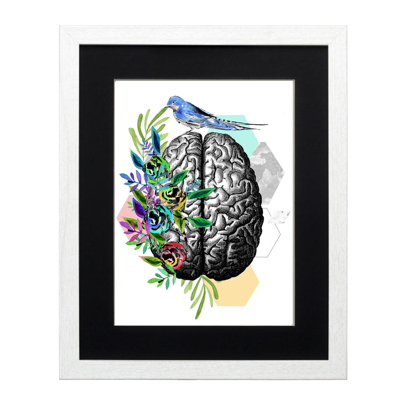 Cerebro