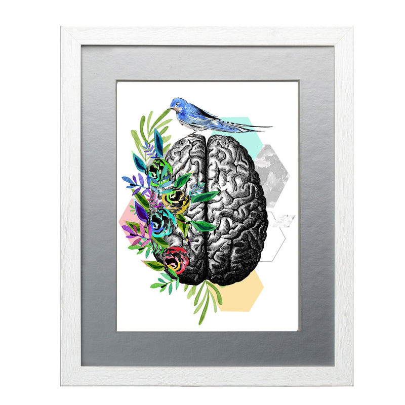 Cerebro