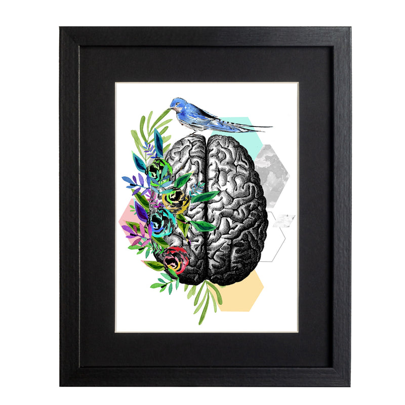 Cerebro