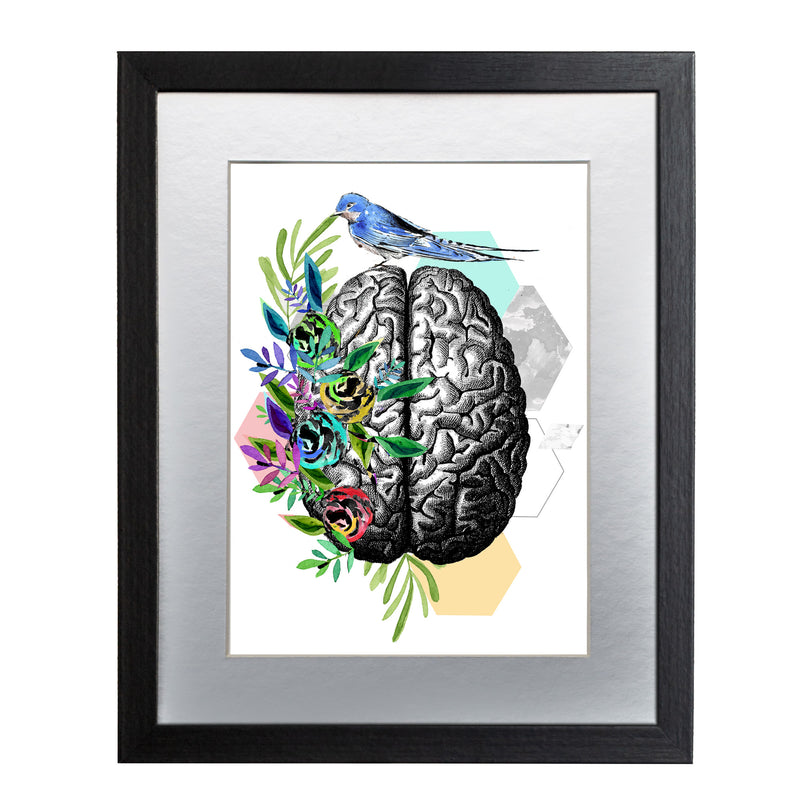 Cerebro