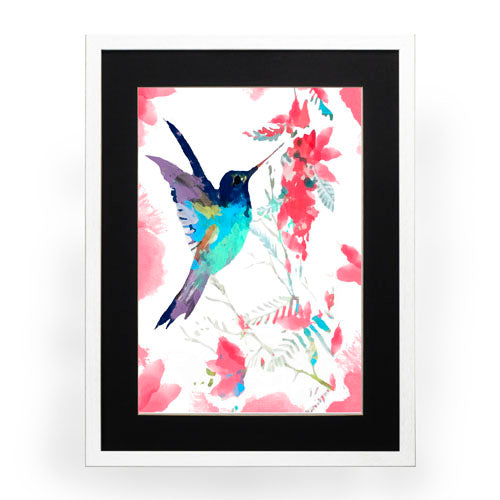 Colibri 3