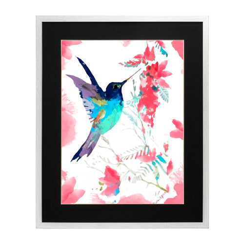 Colibri 3