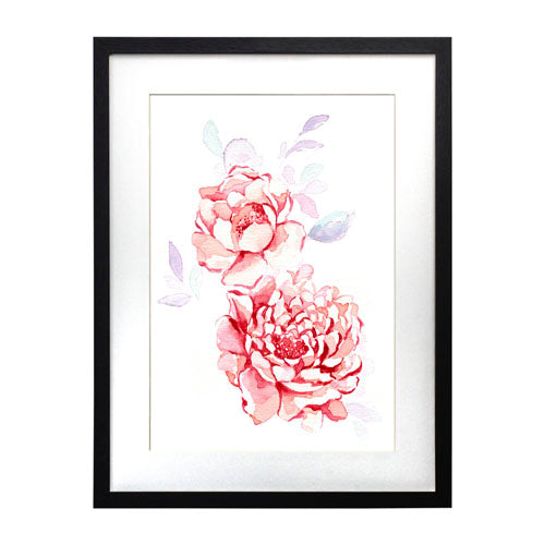 Flores Orquídea