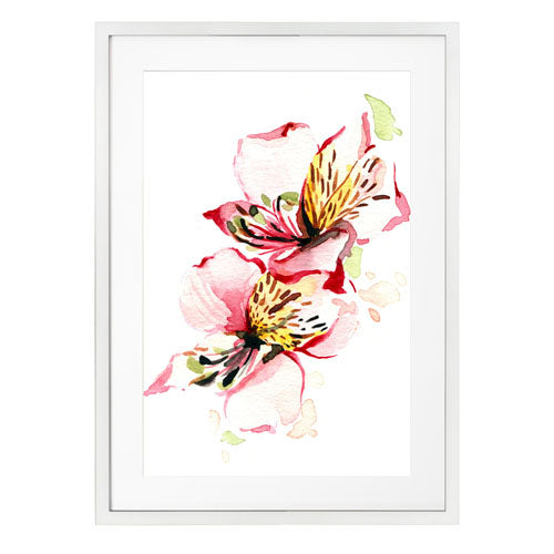 Flores - Alstroemeria