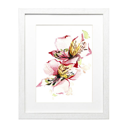 Flores - Alstroemeria