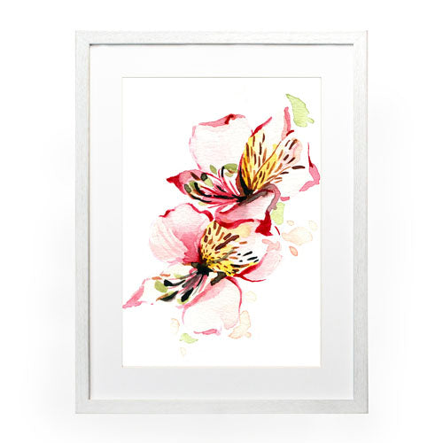 Flores - Alstroemeria