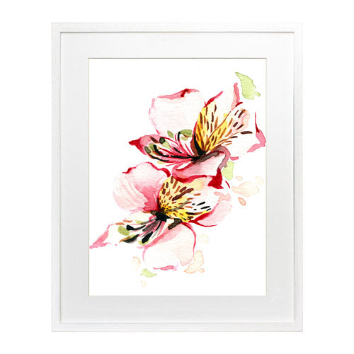 Flores - Alstroemeria