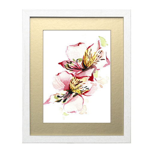 Flores - Alstroemeria