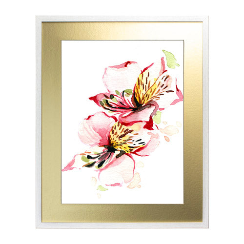 Flores - Alstroemeria