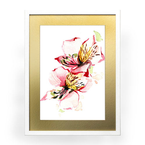 Flores - Alstroemeria