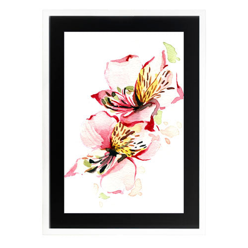 Flores - Alstroemeria