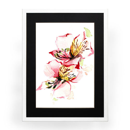 Flores - Alstroemeria