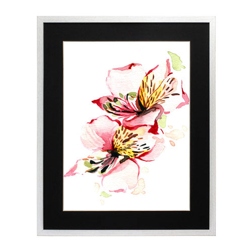 Flores - Alstroemeria