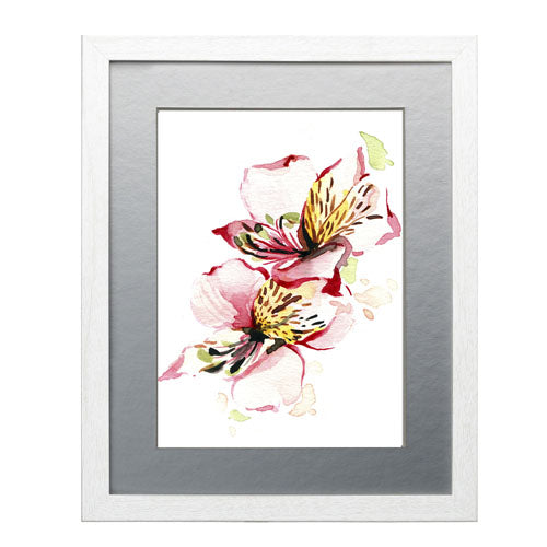 Flores - Alstroemeria