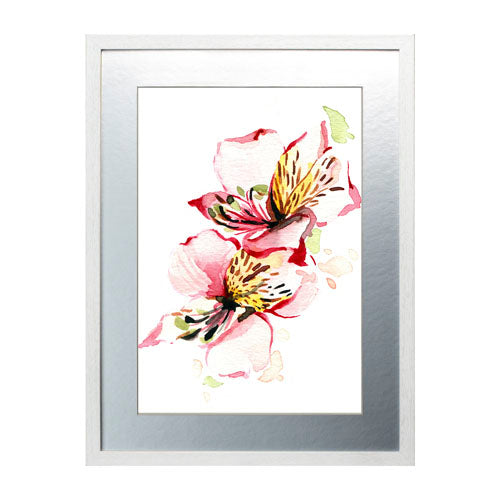 Flores - Alstroemeria