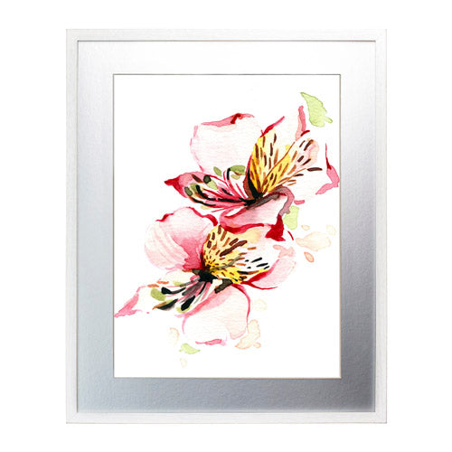 Flores - Alstroemeria