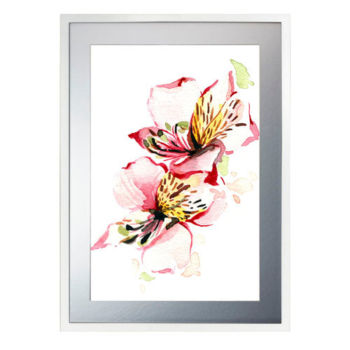 Flores - Alstroemeria