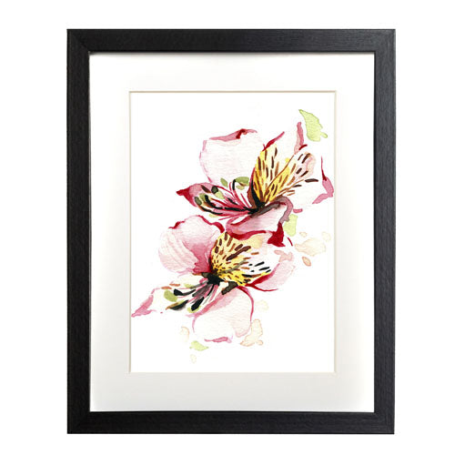 Flores - Alstroemeria