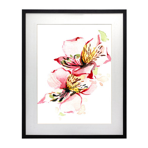 Flores - Alstroemeria