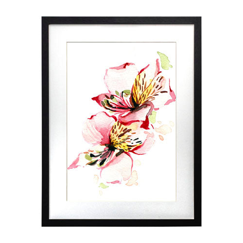 Flores - Alstroemeria