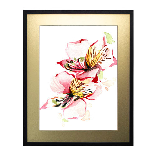 Flores - Alstroemeria