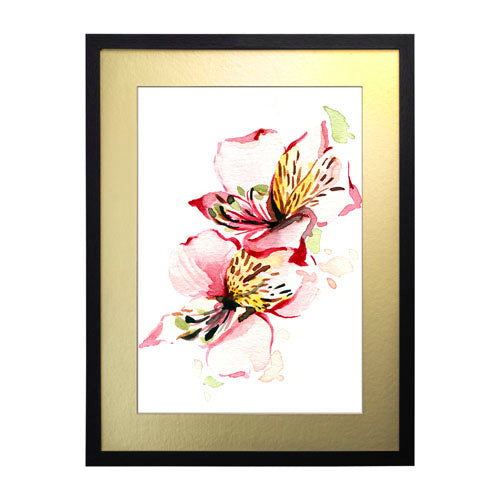 Flores - Alstroemeria