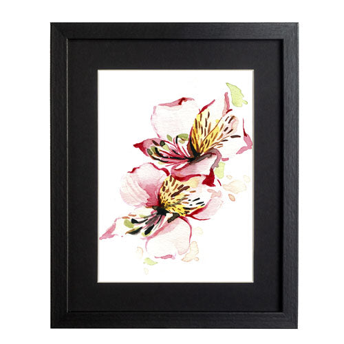 Flores - Alstroemeria