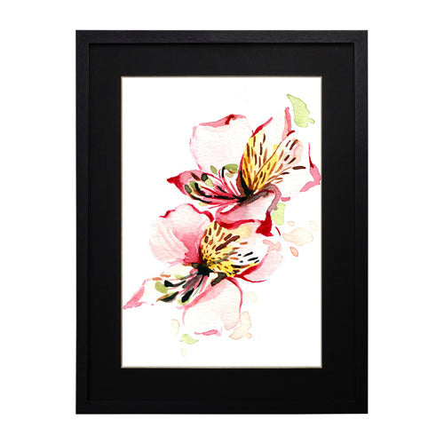 Flores - Alstroemeria