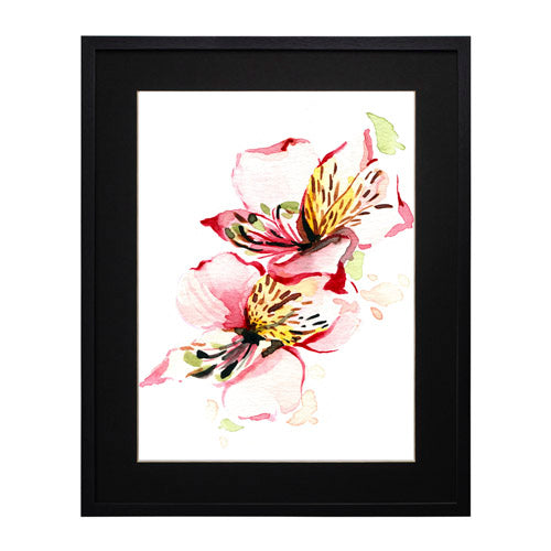 Flores - Alstroemeria