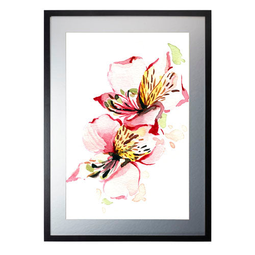 Flores - Alstroemeria