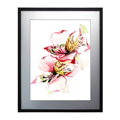 Flores - Alstroemeria