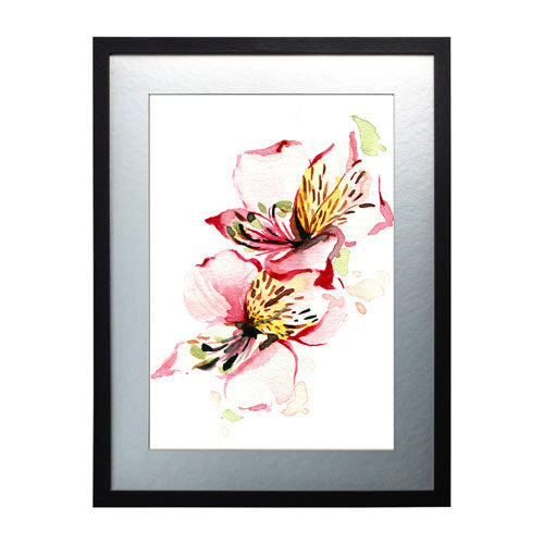 Flores - Alstroemeria