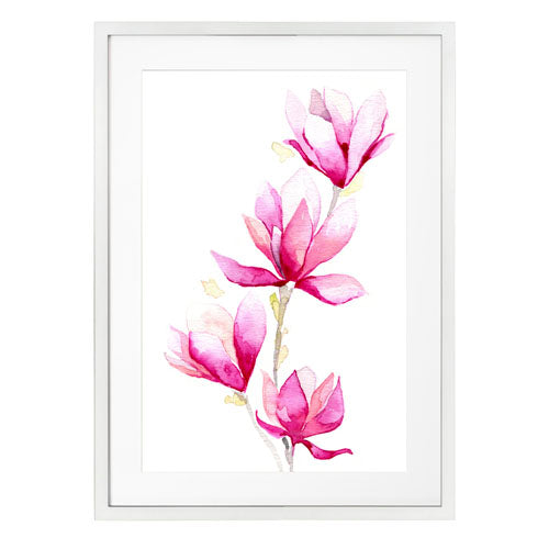 Flores - Magnolia