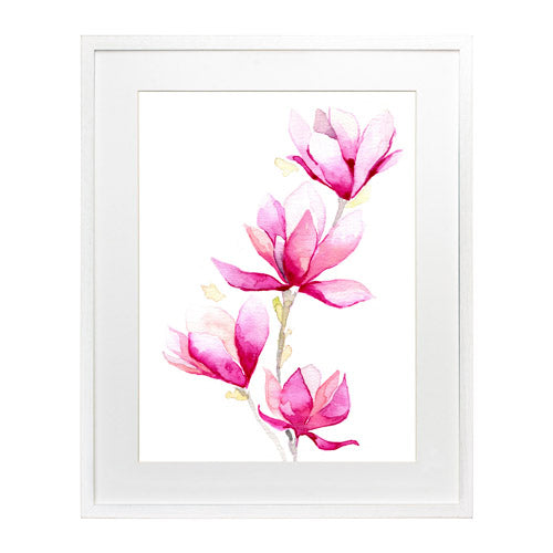 Flores - Magnolia