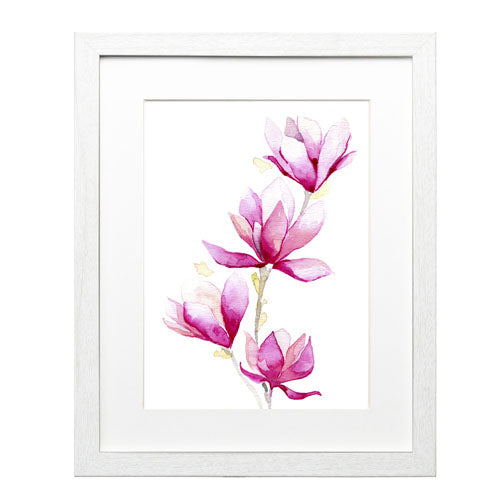 Flores - Magnolia