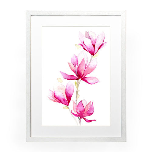 Flores - Magnolia