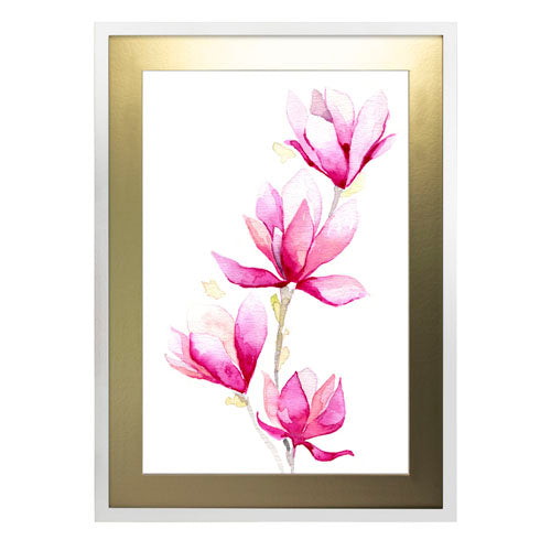 Flores - Magnolia